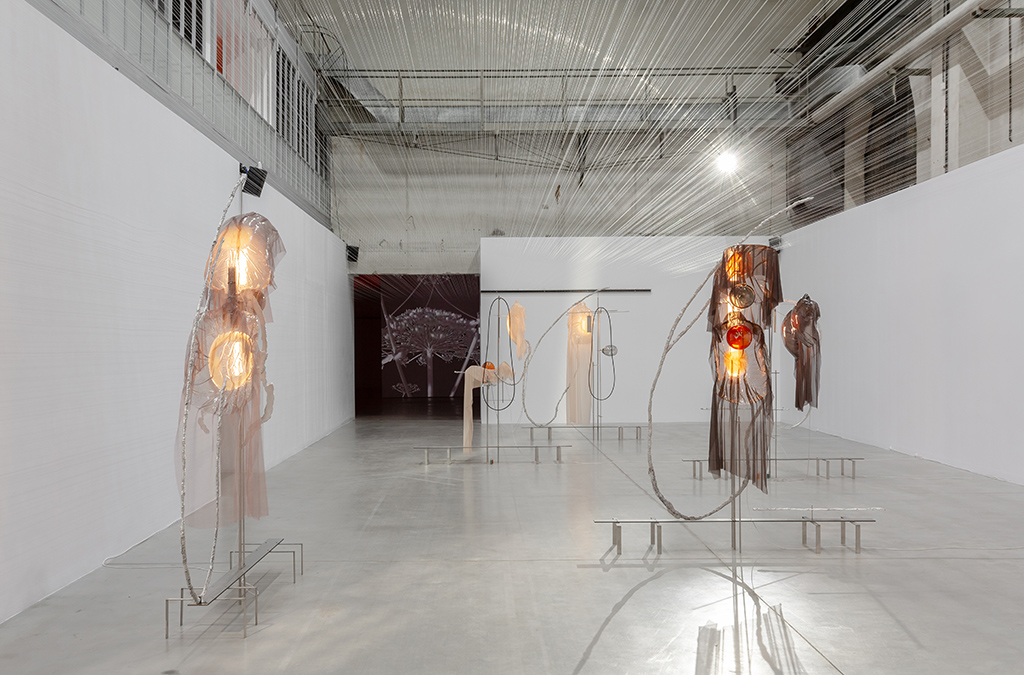 Clearview, solo show